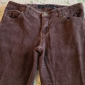 Calvin Klein Jean brown cords